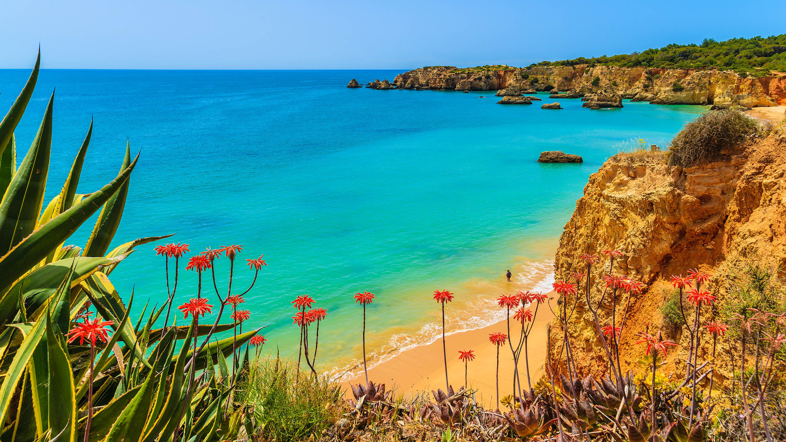 Lisboa, Fátima y el Algarve