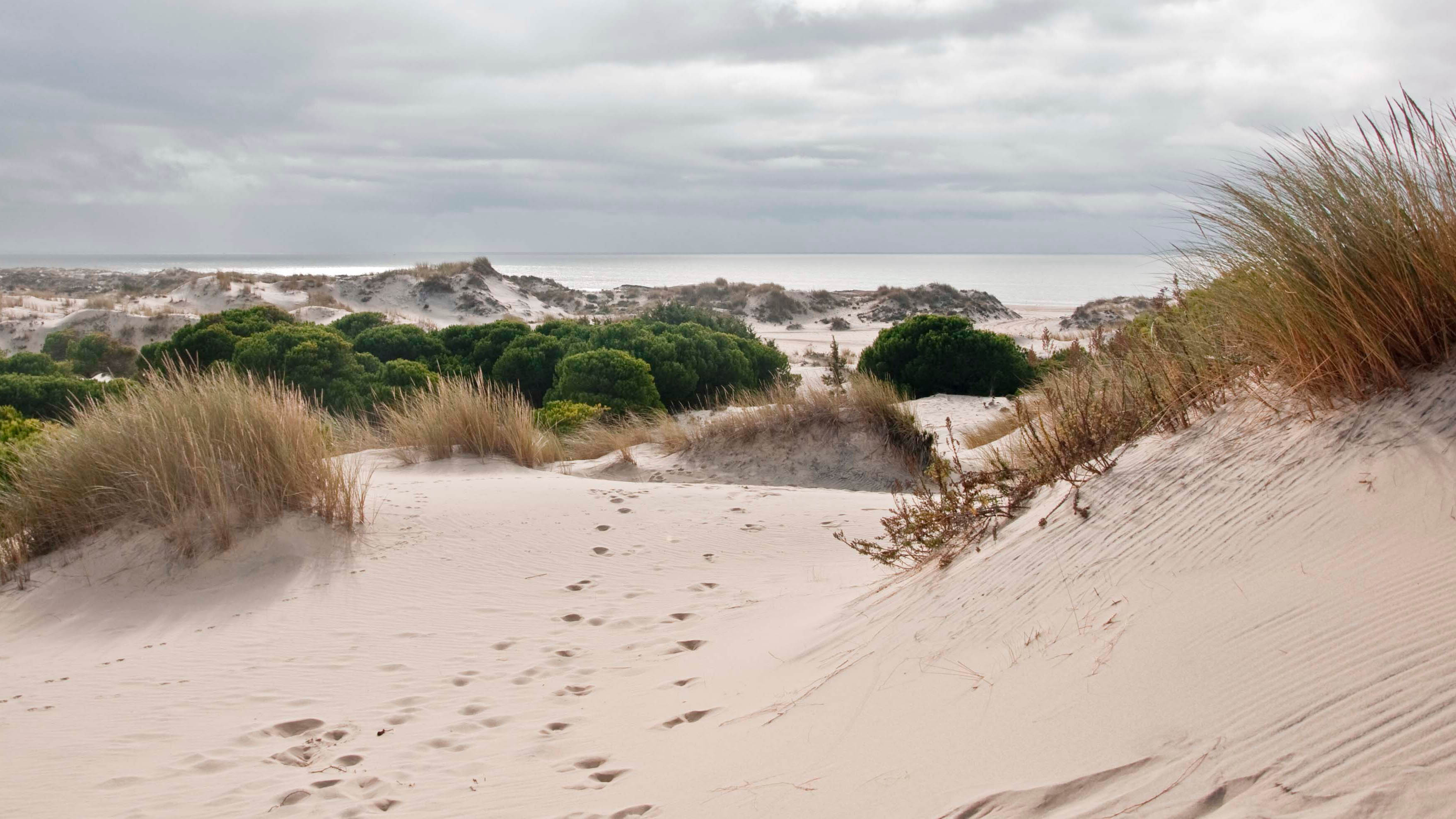 Imagen de la ruta 'La Rábida - Carabelas de Colón'